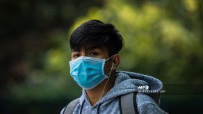 Estudio con hámsteres prueba eficacia de mascarillas contra COVID-19