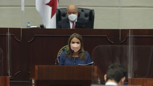Presentan proyecto de ley para lineamientos y transformación del perfeccionamiento y bienestar del educador