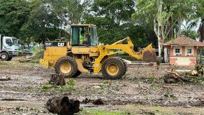Ministro Concepción: tala en predios del Santo Tomas cumplen con norma ambiental