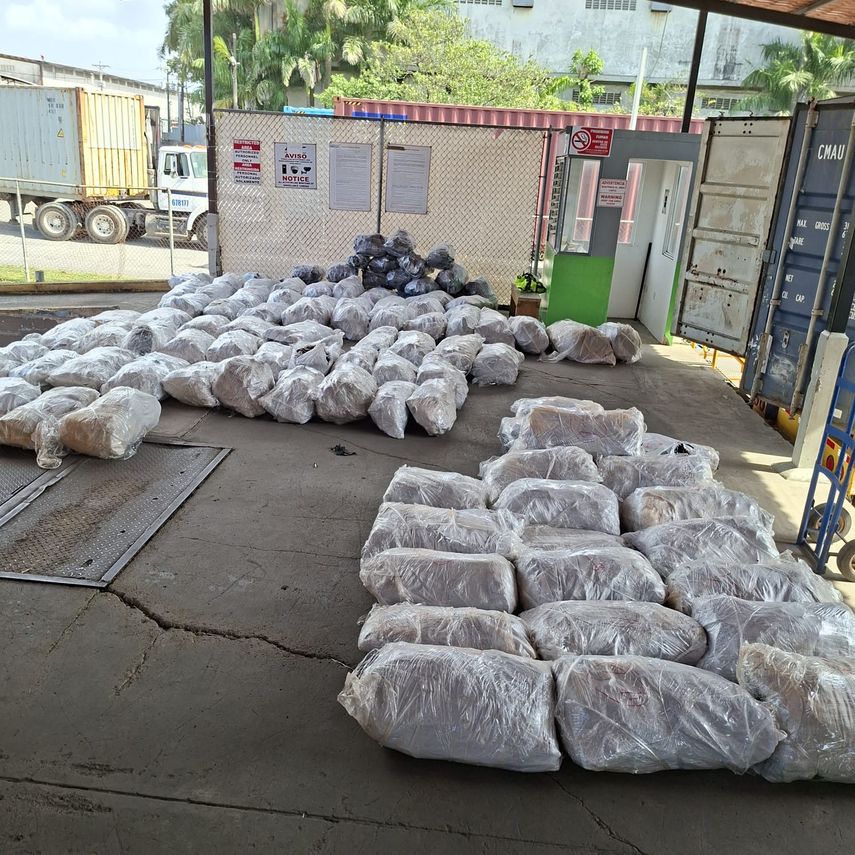 Retienen en Puerto de Manzanillo contenedor con 109 sacos de aletas de tiburón con destino a Malasia