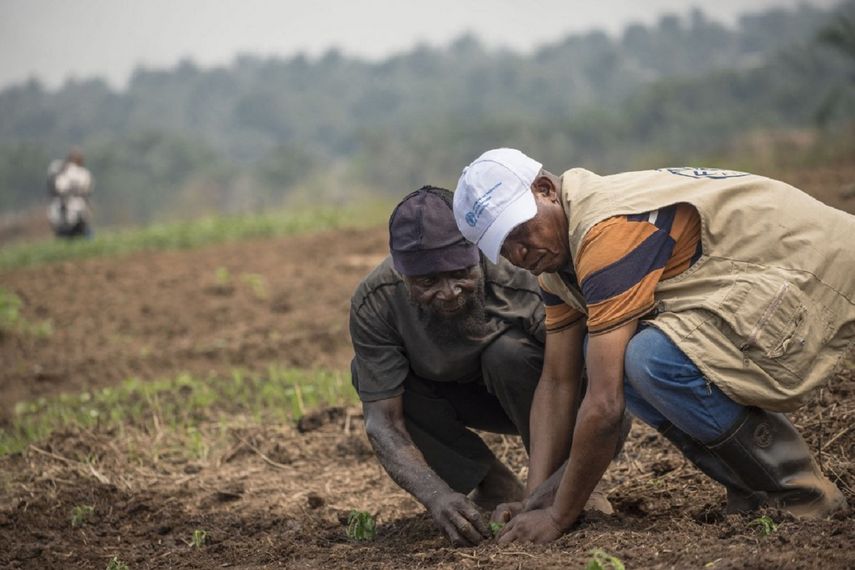 FAO insta a los países a preparar sus sistemas alimentarios