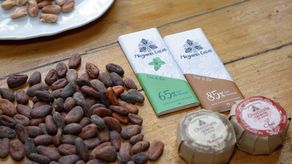 Cacao panameño gana el bronce en competencia italiana