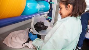 Panamá estudia el éxito de Chivo Pets en El Salvador para desarrollar su propio hospital veterinario público