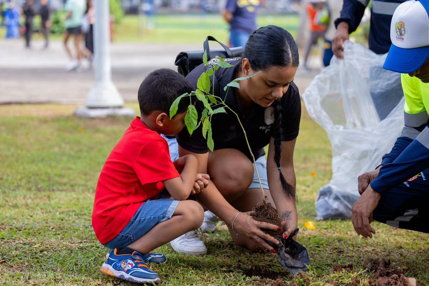 Alcaldía de Panamá continúa con proyecto de arborización en la Avenida Balboa
