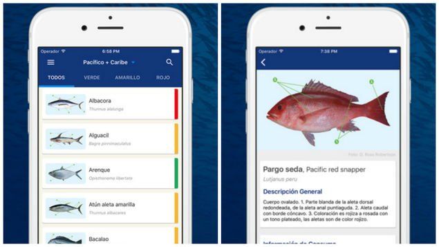 Una aplicación ayuda a proteger peces en Colombia, Costa Rica y Panamá