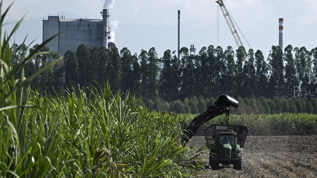 La controversia por el uso obligatorio de gasolina con bioetanol, una propuesta que no avanzó en el Parlamento impulsada por el Ejecutivo, no cesa en Panamá, donde un exprocurador aseguró que se trata de una iniciativa inconstitucional en un contexto en el que se intentaría manipular el mercado local. La controversia por el uso obligatorio de gasolina con bioetanol, una propuesta que no avanzó en el Parlamento impulsada por el Ejecutivo, no cesa en Panamá, donde un exprocurador aseguró que se trata de una iniciativa inconstitucional en un contexto en el que se intentaría manipular el mercado local.