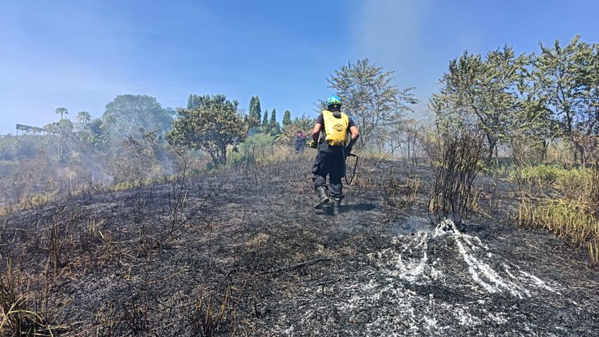 MiAMBIENTE desplegó más de 400 funcionarios en el operativo de Carnaval 2025