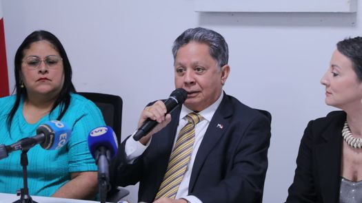 Lanzamiento fue realizado por el Minsa en colaboración con la OPS. Lanzamiento fue realizado por el Minsa en colaboración con la OPS.