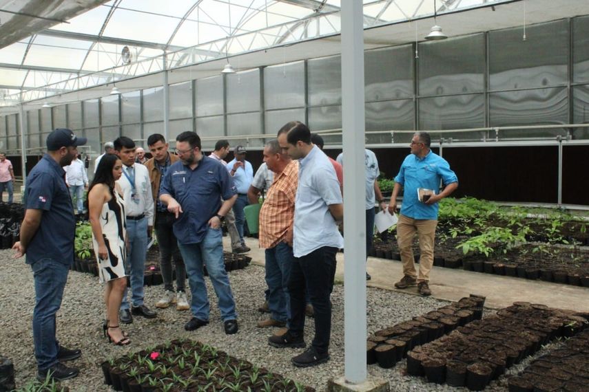 Mida: Plan Café Robusta.