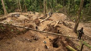 Desmantelan una red de minería ilegal en la selva del Darién e incautan frascos con oro