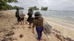(MiAMBIENTE) inició la recuperación ambiental para la restauración de los ecosistemas y la protección de las especies en estado crítico de extinción que existen dentro &nbsp;del área protegida Paisaje Protegido Isla Escudo de Veraguas-Degó.&nbsp;
