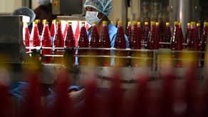 Industria de alimentos y bebidas se fortalece como motor económico de Panamá