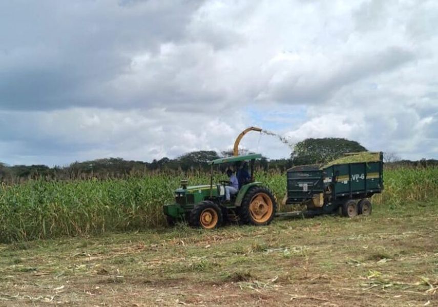 Arroceros denuncian manipulación sobre cifras de importación. Arroceros denuncian manipulación sobre cifras de importación.