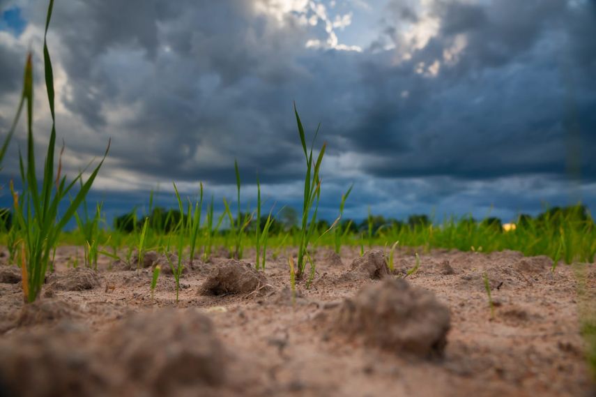 La ONU prevé que el fenómeno climático La Niña podría retrasarse