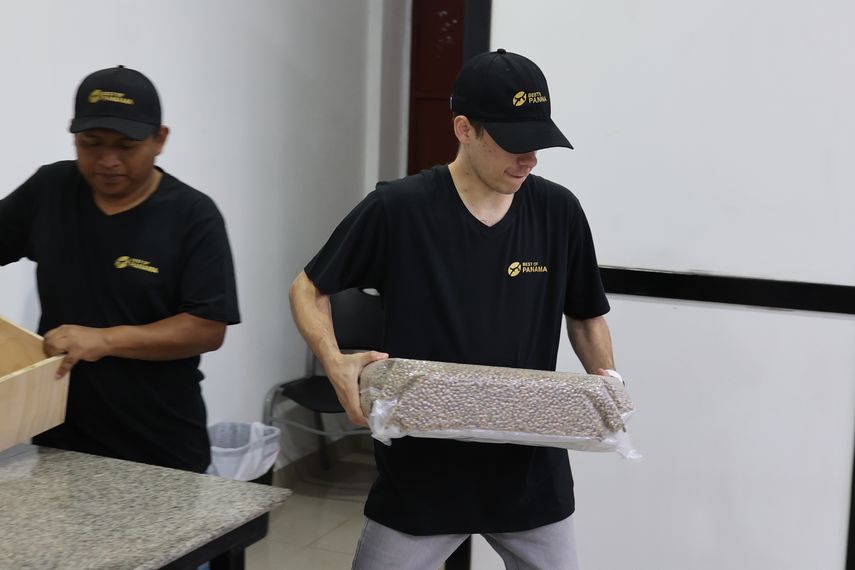 Un total de 50 lotes del mejor café del mundo, cultivado en Chiriquí, de las variedades geishas y varietales se ofrecerán en esta subasta. Un total de 50 lotes del mejor café del mundo, cultivado en Chiriquí, de las variedades geishas y varietales se ofrecerán en esta subasta.