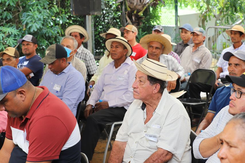 Con esta noticia se garantiza poner en funcionamiento estos recintos para beneficio de los productores de Panamá. Con esta noticia se garantiza poner en funcionamiento estos recintos para beneficio de los productores de Panamá.