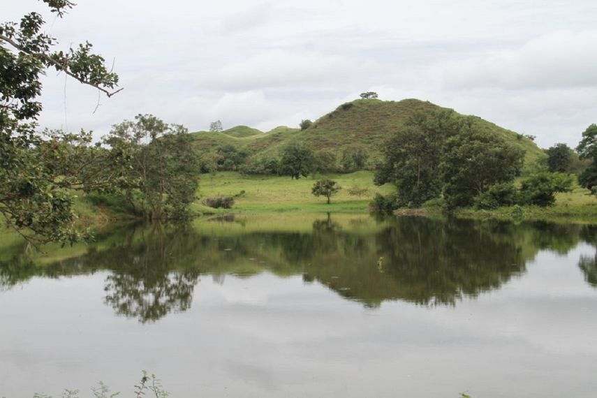 El Niño y La Niña son importantes condicionantes del sistema climático de la Tierra, pero no son los únicos.