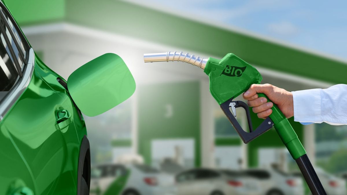 Mulino: No habrá etanol: privó el bochinche y la especulación Mulino: No habrá etanol: privó el bochinche y la especulación