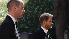 Príncipes Guillermo y Enrique se reúnen para inaugurar estatua de su madre Diana