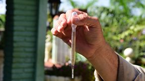 Panamá acumula 17 mil casos de dengue a nivel nacional