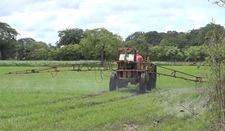 Productores agropecuarios preocupados por alza de insumos