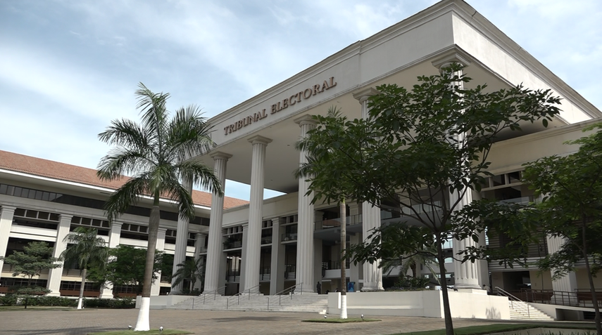 Tribunal Electoral, sin auditar firmas de precandidatos