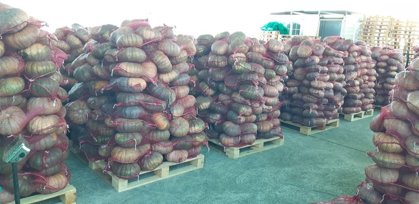 El Ministerio de Desarrollo Agropecuario (MIDA) en la provincia de Los Santos, informó que continúa fortaleciendo su apoyo a las agroexportaciones locales. El Ministerio de Desarrollo Agropecuario (MIDA) en la provincia de Los Santos, informó que continúa fortaleciendo su apoyo a las agroexportaciones locales.