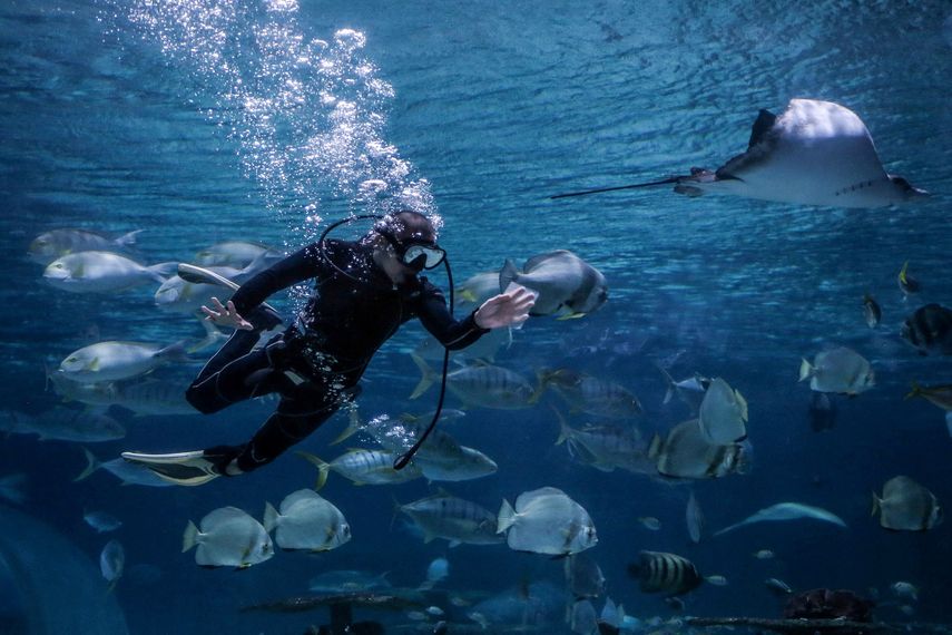 Filipinas se reabrirá pronto a turistas vacunados