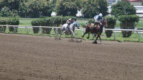 Realizan simuladas carreras de caballos
