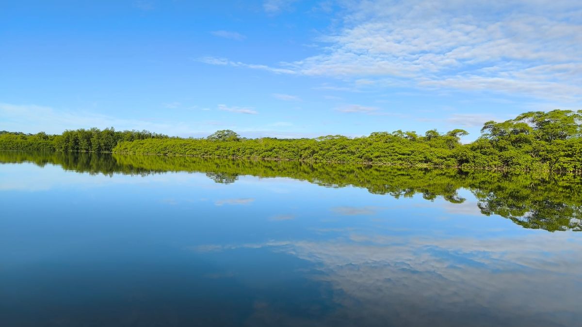Los humedales de Panamá afrontan presiones significativas, entre ellas el uso intensivo de esos territorios y el cambio climático, ante lo cual se desarrollan acciones de restauración y monitoreo con la participación de las comunidades, afirmó el Gobierno este lunes, cuando se conmemora el Día Mundial de los Humedales. Los humedales de Panamá afrontan presiones significativas, entre ellas el uso intensivo de esos territorios y el cambio climático, ante lo cual se desarrollan acciones de restauración y monitoreo con la participación de las comunidades, afirmó el Gobierno este lunes, cuando se conmemora el Día Mundial de los Humedales.
