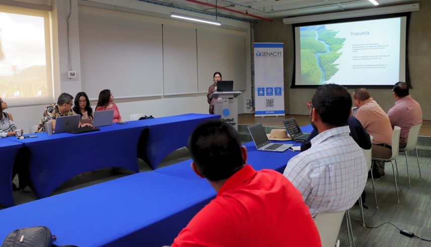 El proyecto busca implementar un programa de monitoreo y seguimiento de los ecosistemas de manglares en la Bahía de Panamá y Bahía de Chame, informó Senacyt. El proyecto busca implementar un programa de monitoreo y seguimiento de los ecosistemas de manglares en la Bahía de Panamá y Bahía de Chame, informó Senacyt.