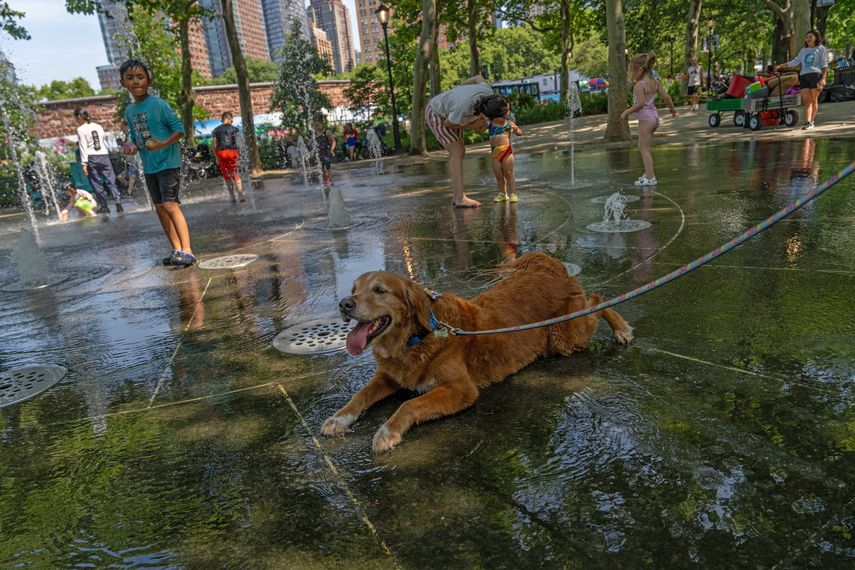 El 21 de julio fue el día más caluroso jamás registrado en el mundo