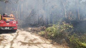 Los bomberos han sido apoyados por miembros del Senan en las labores de extinción del incendio.