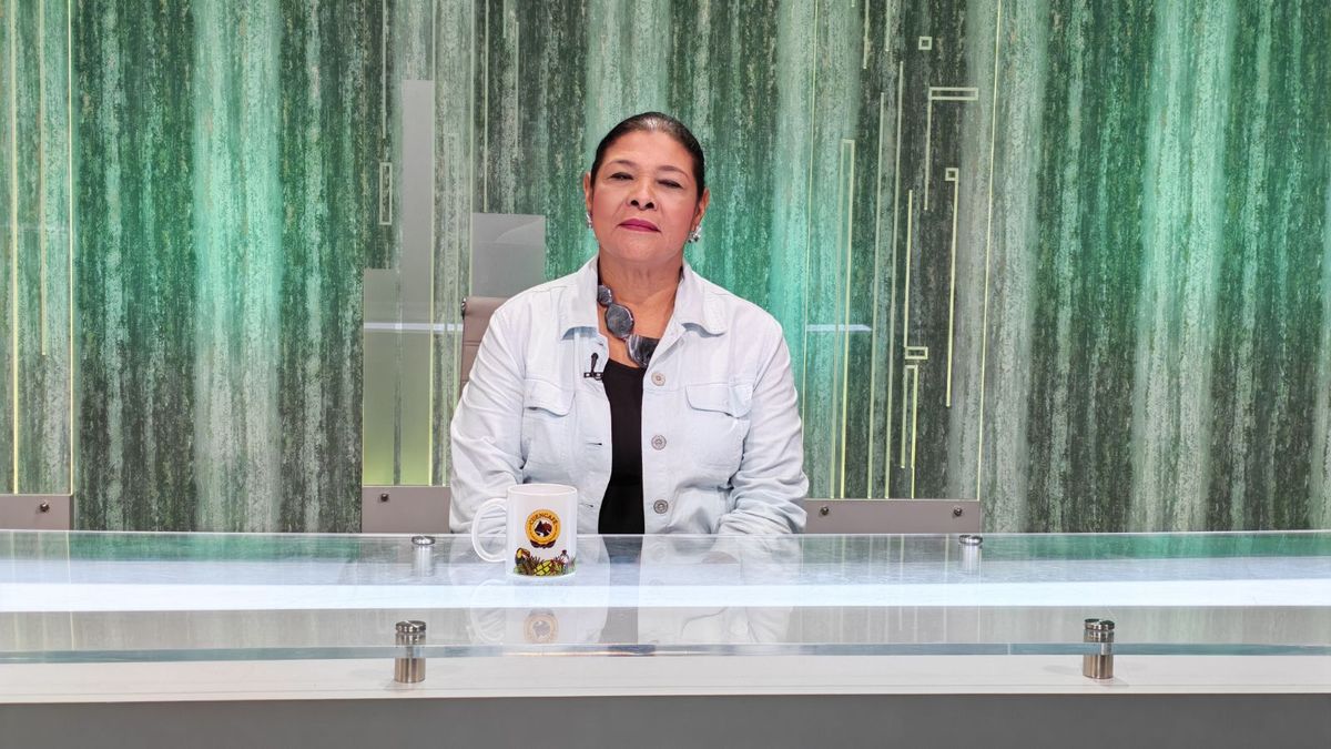 Senadis: Familiares están haciendo uso indebido de los stickers de discapacidad Senadis: Familiares están haciendo uso indebido de los stickers de discapacidad