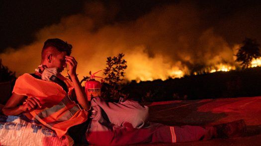 Incendios arrasan superficies récord en Grecia