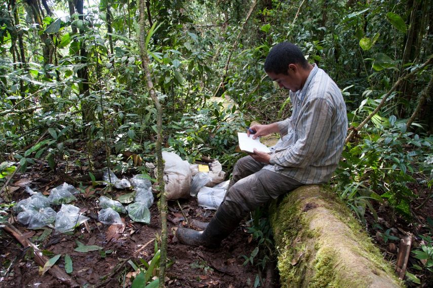 El Dr. Abel Batista investigador de la Unachi