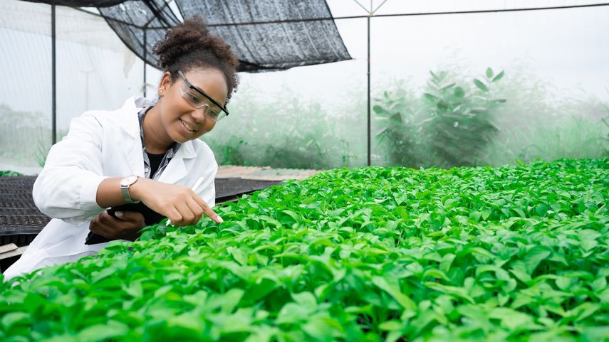 Maestría en Ciencias Agrarias