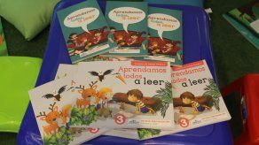 Meduca lanzará versión para el hogar del programa Aprendamos todos a leer