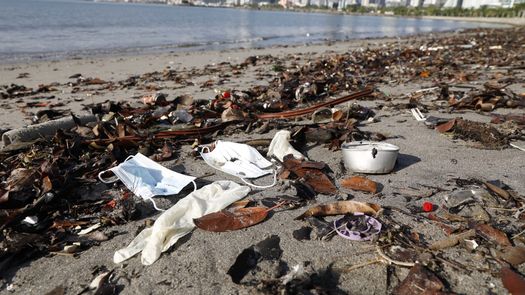 Mascarillas incrementan contaminación y perjudican a la fauna marina en Panamá