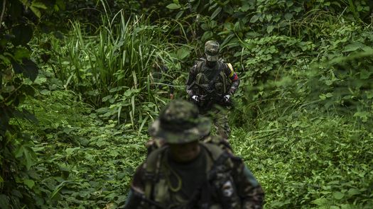 Niños indígenas perdidos en la selva colombiana están vivos, según autoridades