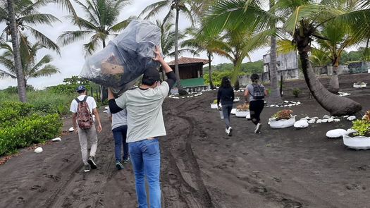 La acción realizada en la playa de Alanje, forma parte de la responsabilidad ambiental que impulsa la Usma.