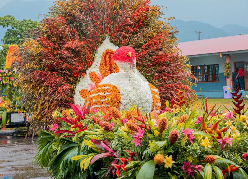 MiCultura patrocina la Parada de las Flores y el Café en Tierras Altas