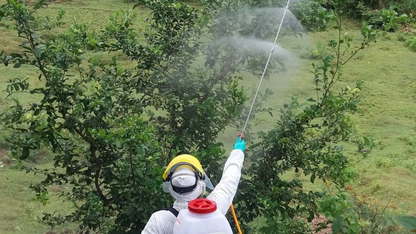 El Ministerio de Desarrollo Agropecuario  (MIDA) dio un nuevo paso en la protección de la salud pública y el medio ambiente al firmar una resolución que prohíbe el uso de ocho plaguicidas altamente peligrosos (PAP’s) en la agricultura panameña.