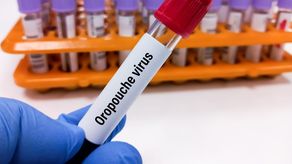 Aumentan a 286 los casos confirmados de virus Oropouche en Darién y Panamá Este