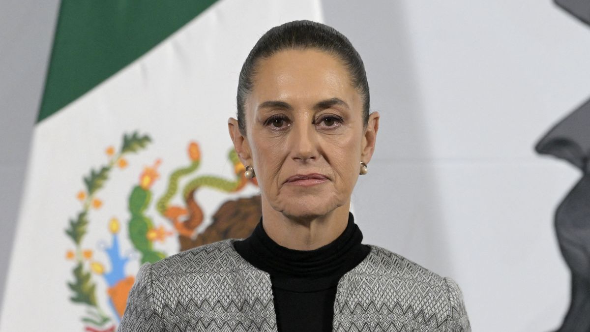 Hombre que agredió a Claudia Sheinbaum es procesado penalmente por otro abuso sexual Hombre que agredió a Claudia Sheinbaum es procesado penalmente por otro abuso sexual