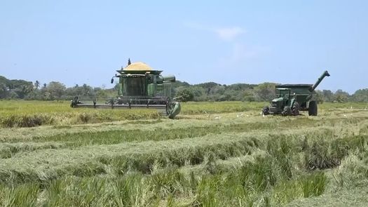 La jornada de actualización y capacitación se desarrolló en el marco del Día mundial de la Alimentación en la Facultad de Ciencias Agropecuarias de la Universidad de Panamá en Chiriquí.