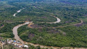 Narcotráfico acentúa deforestación en Darién