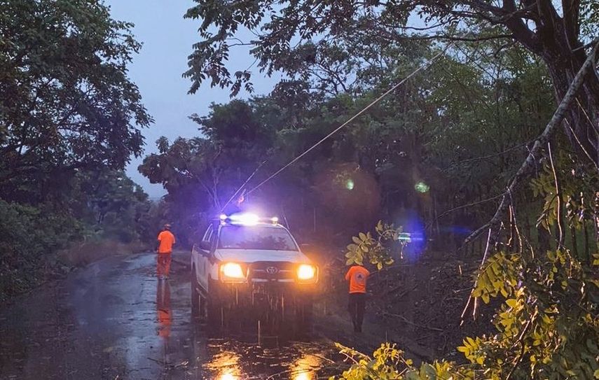Según reportes del COEN en la ciudad de Panamá se han registrado unos 16 árboles caídos sobre las vías, los muros perimetrales, los tendidos eléctricos y vehículos, producto de las fuertes lluvias registradas este domingo. | Foto: @Sinaproc_Panama Según reportes del COEN en la ciudad de Panamá se han registrado unos 16 árboles caídos sobre las vías, los muros perimetrales, los tendidos eléctricos y vehículos, producto de las fuertes lluvias registradas este domingo. | Foto: @Sinaproc_Panama