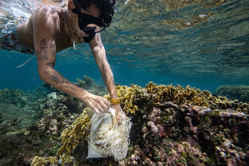 Diwigdi Valiente, activista de Guna Yala, representará a Panamá en el Hay Festival, en Gales. Diwigdi Valiente, activista de Guna Yala, representará a Panamá en el Hay Festival, en Gales.