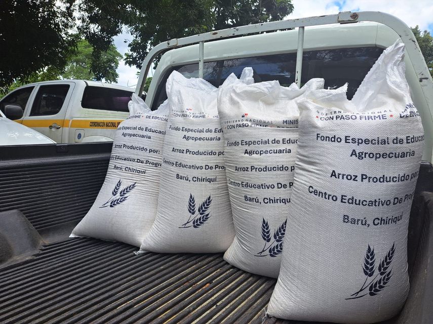 Arroz producido en granjas escolares se distribuirá a comedores de 200 escuelas